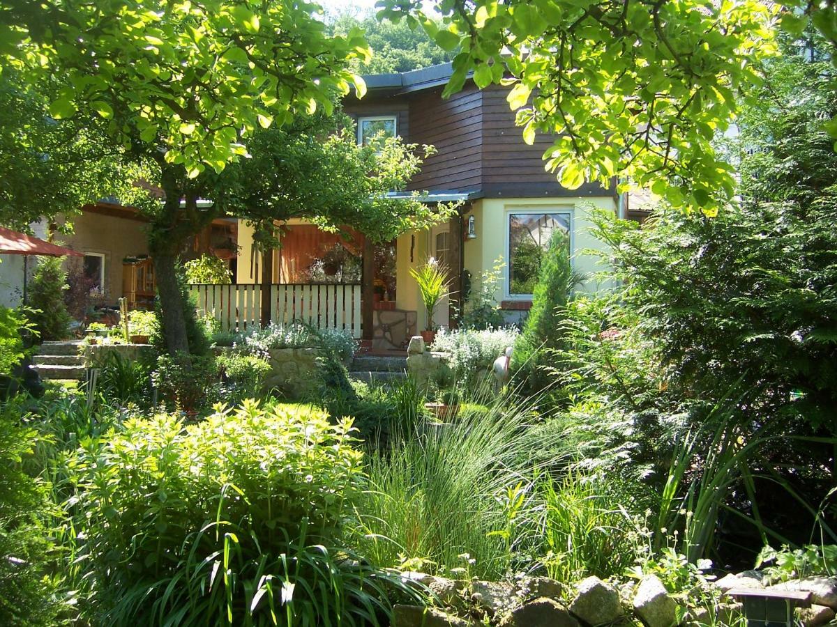 Ferienhaus Hagenwinkel Gernrode  エクステリア 写真