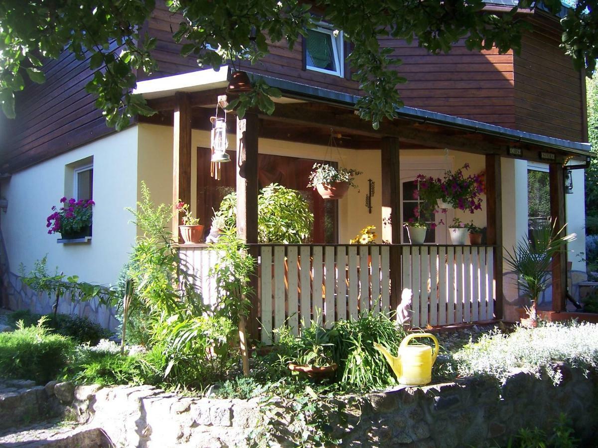 Ferienhaus Hagenwinkel Gernrode  エクステリア 写真