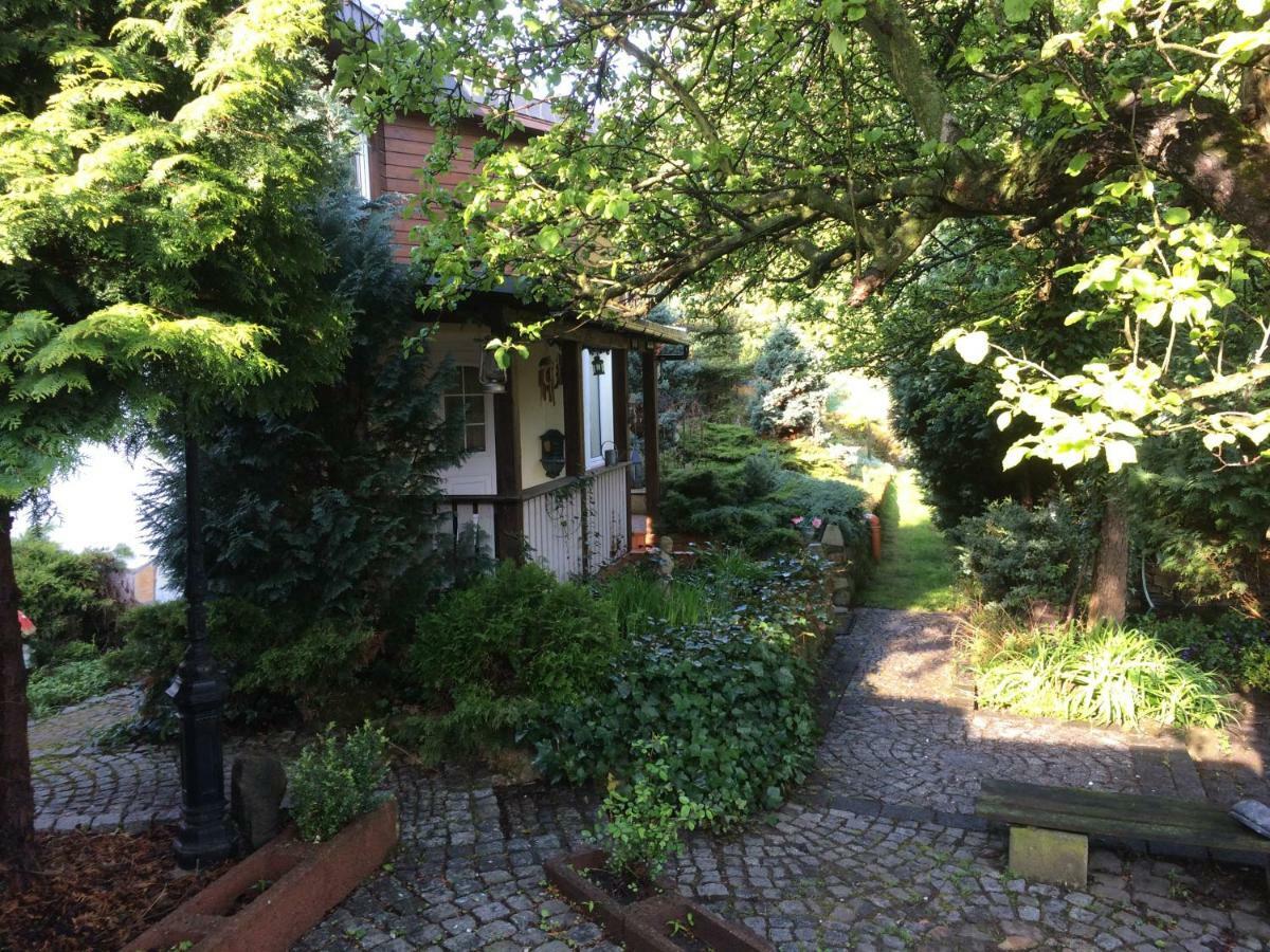 Ferienhaus Hagenwinkel Gernrode  エクステリア 写真